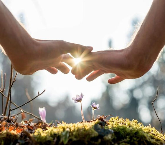 Community Guided Meditation Healing