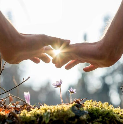 Community Guided Meditation Healing