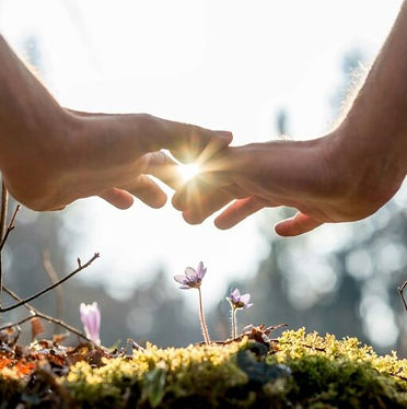 Community Guided Meditation Healing